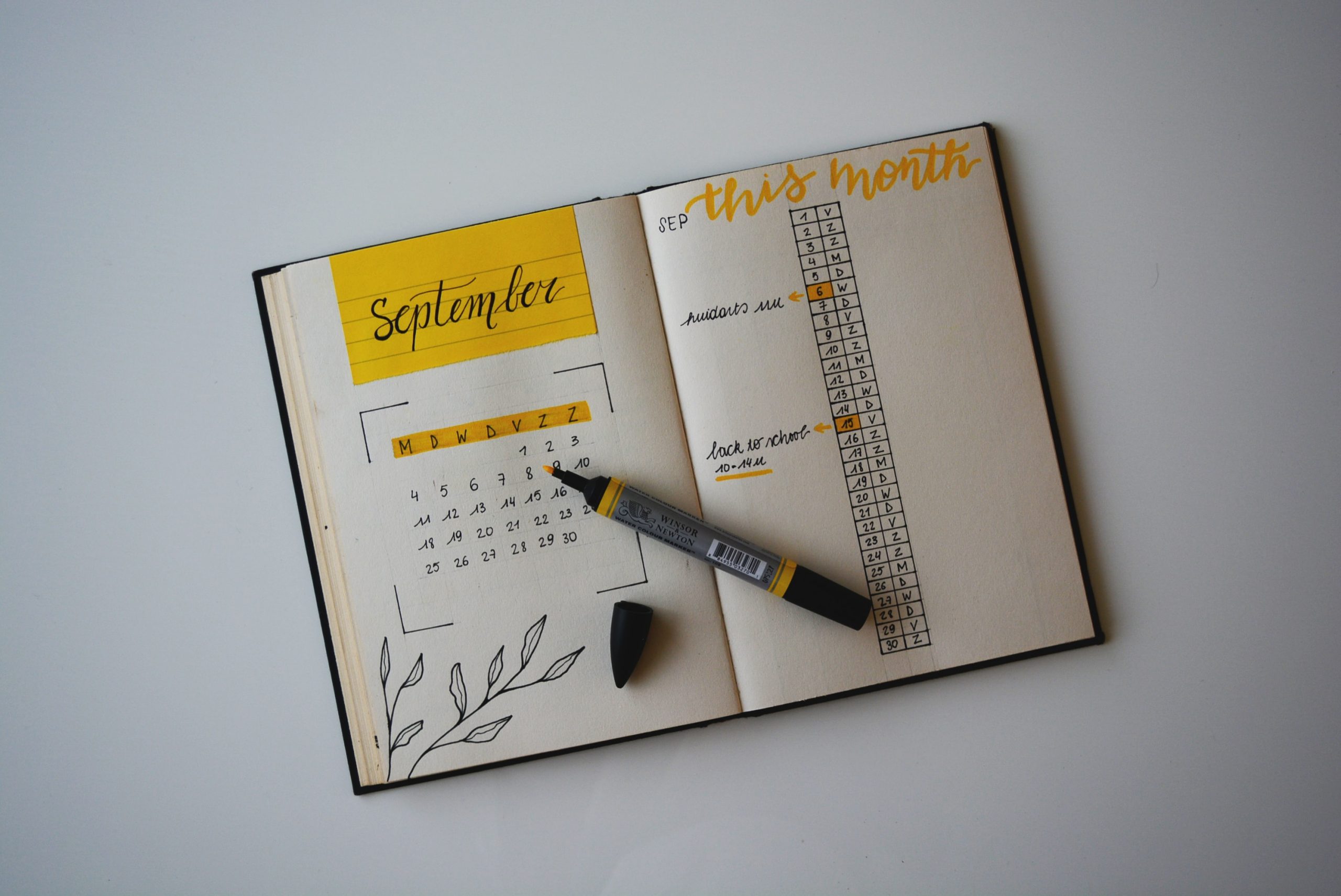 estee-janssens-mo3s5xdo68y-unsplash Diary planner